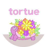 tortue