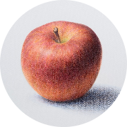 絵画教室アートりゅうがさき