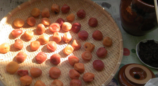 ワタシだけの味。梅仕事を始めよう！