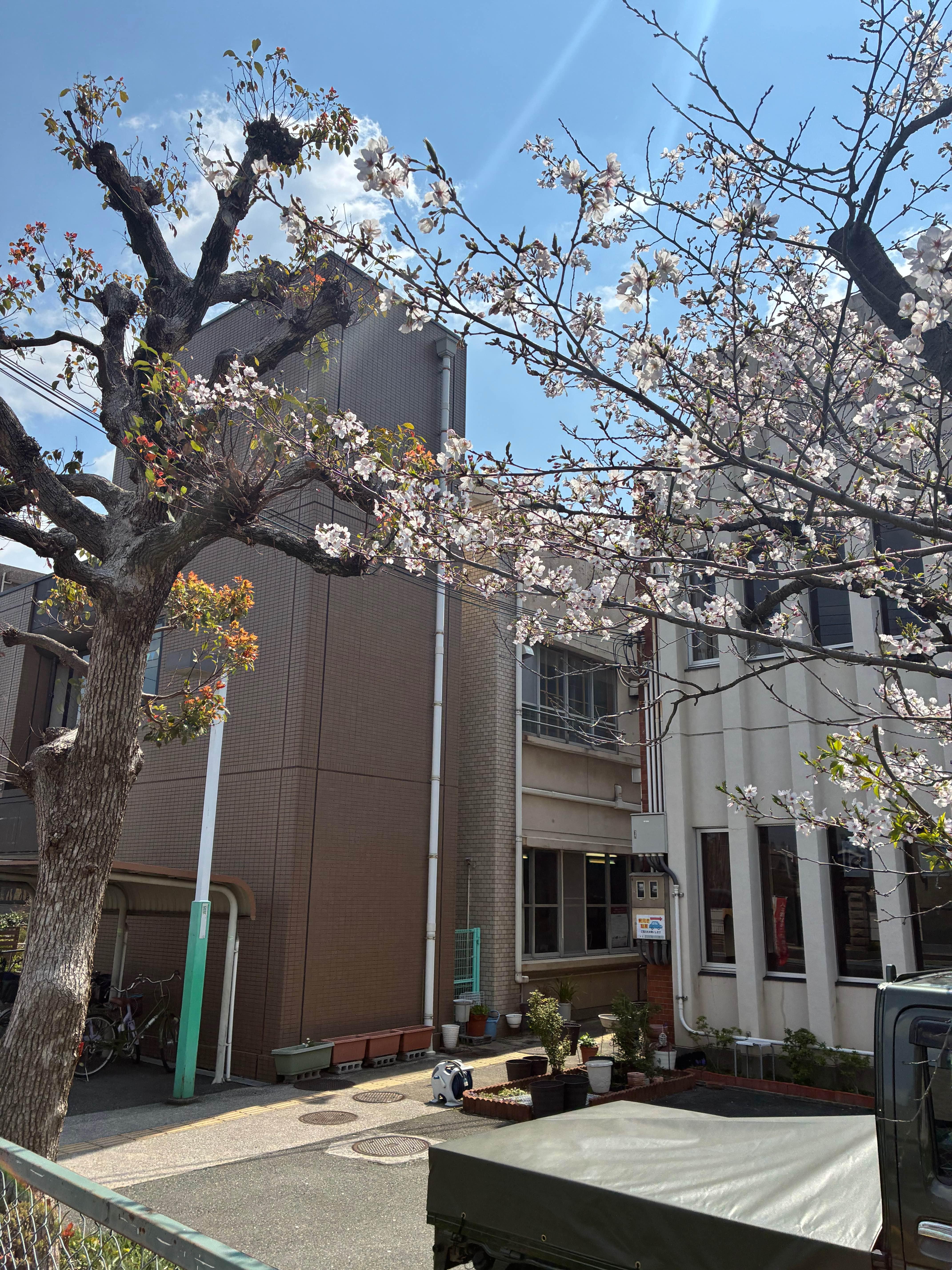 スマイル三線サークル（尼崎北）