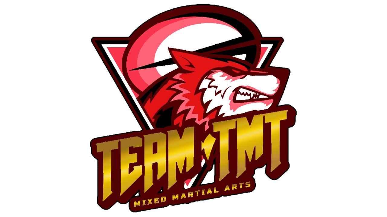 愛知県安城市の総合格闘技チーム「team TMT」