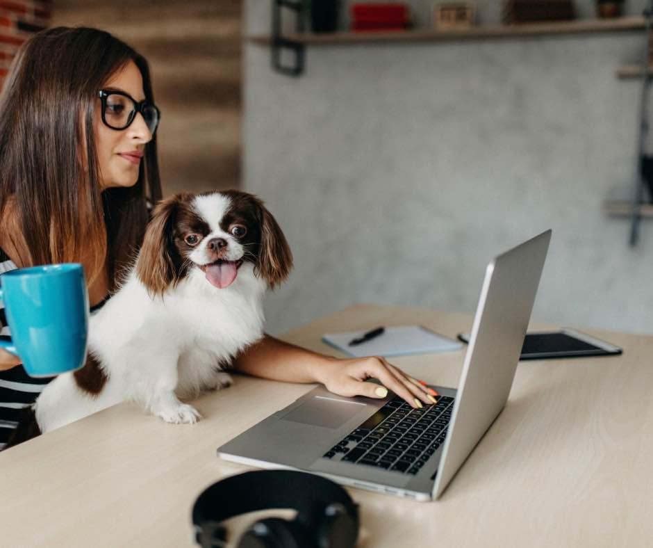 愛犬とお勉強！おうちで楽しく学べるドッグトレーニング！