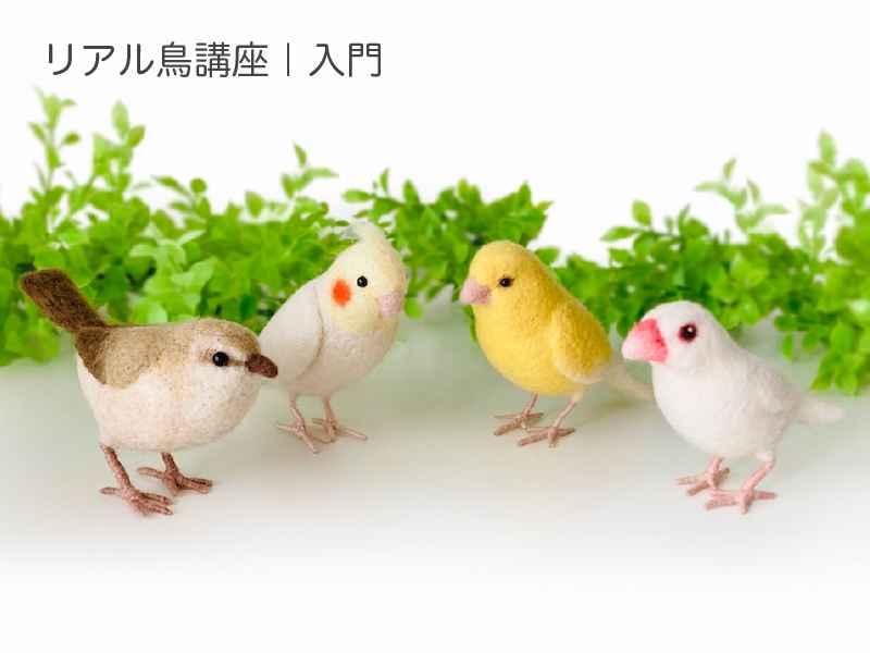 はじめて作る リアル鳥講座｜羊毛フェルト教室