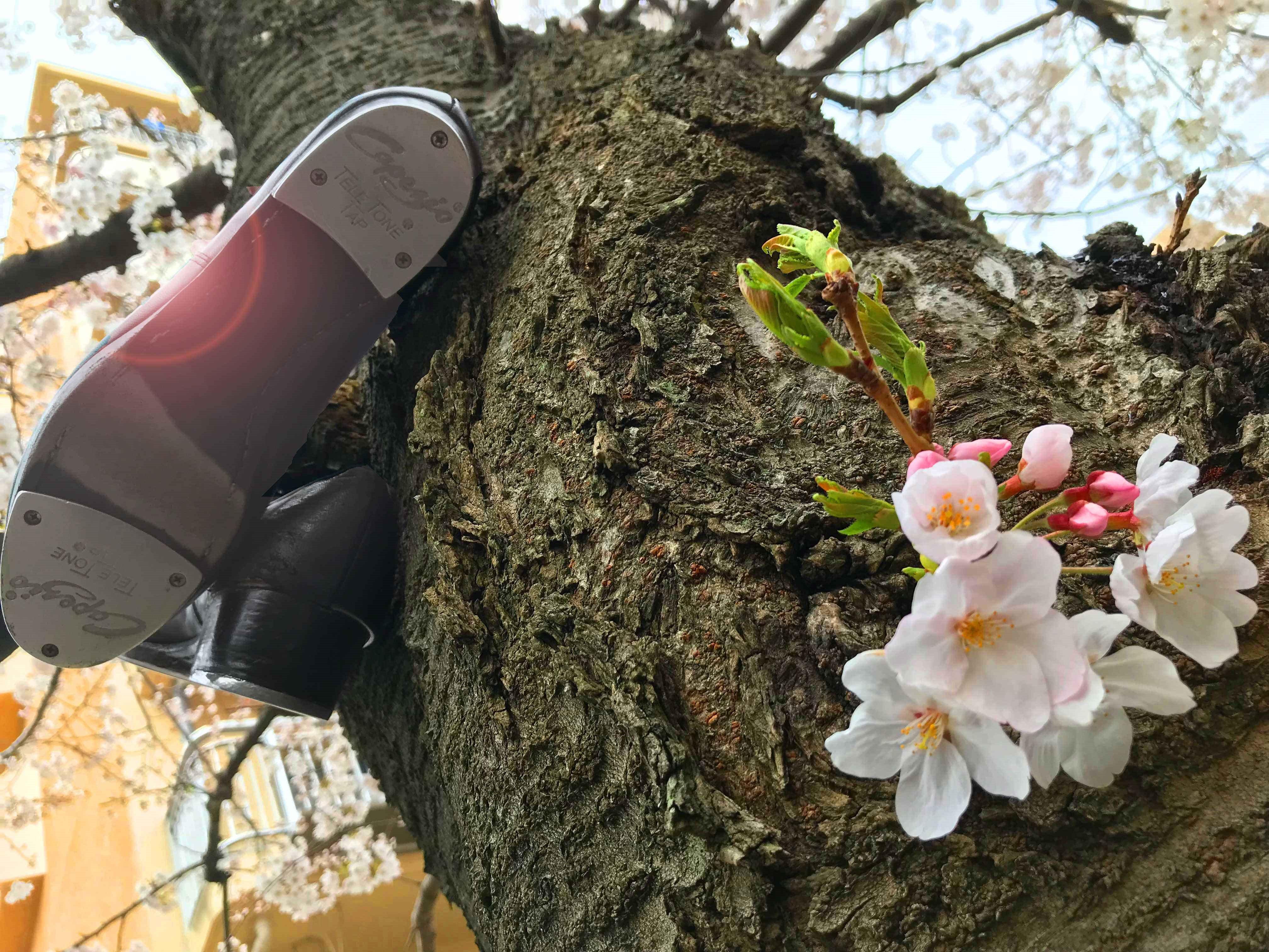 タップダンス　吹田山田でこどももおとなも体験しよ！