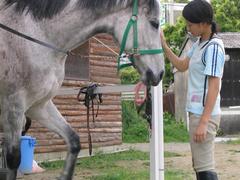 猪名川乗馬クラブ