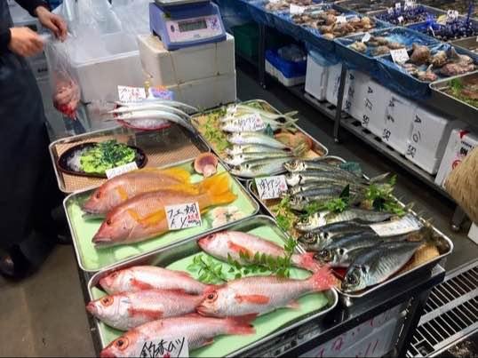 豊洲市場・仲卸フロアでのお買い物～魚さばき～寿司にぎり教室