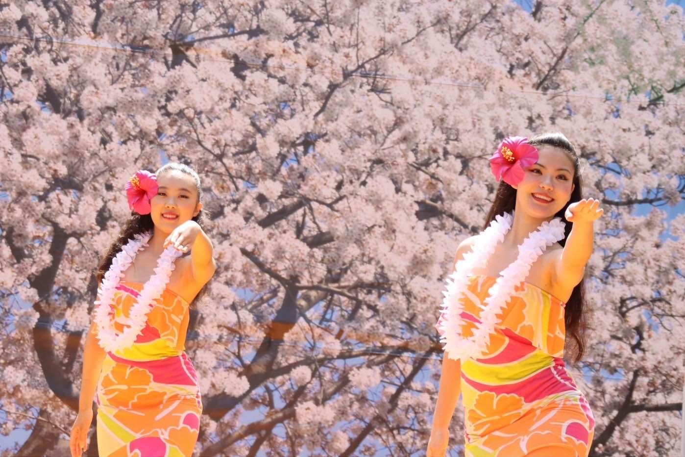 Hālau Ka Ua Moaniani Lehua（本厚木、南林間）