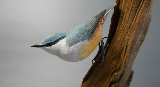 ゴジュウカラ 木彫りの野鳥 バードカービング 野鳥彫刻+storksnapshots.com