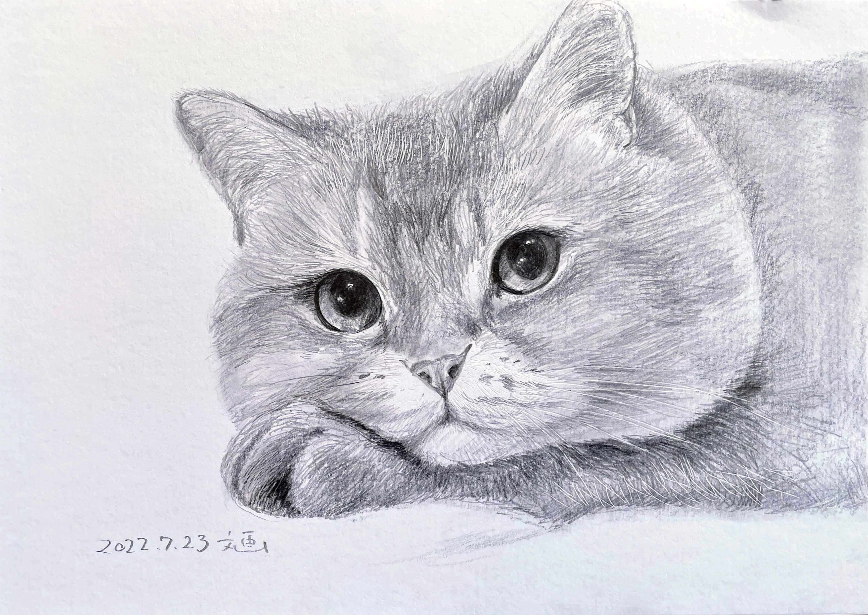 オンライン★絵を描く力が伸びるデッサン練習講座