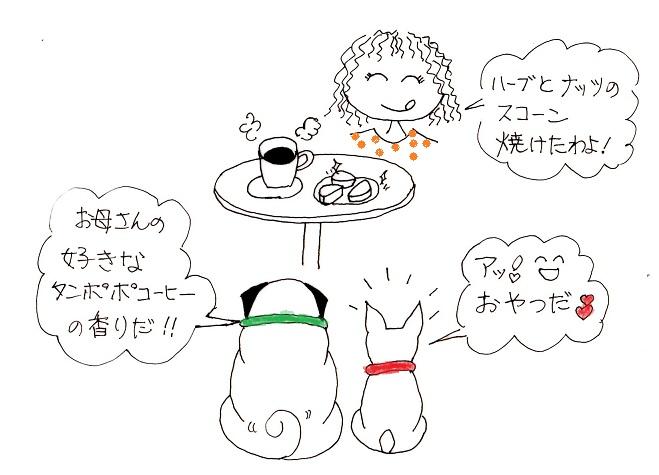 手作り犬ごはん・ホリスティックケア講座