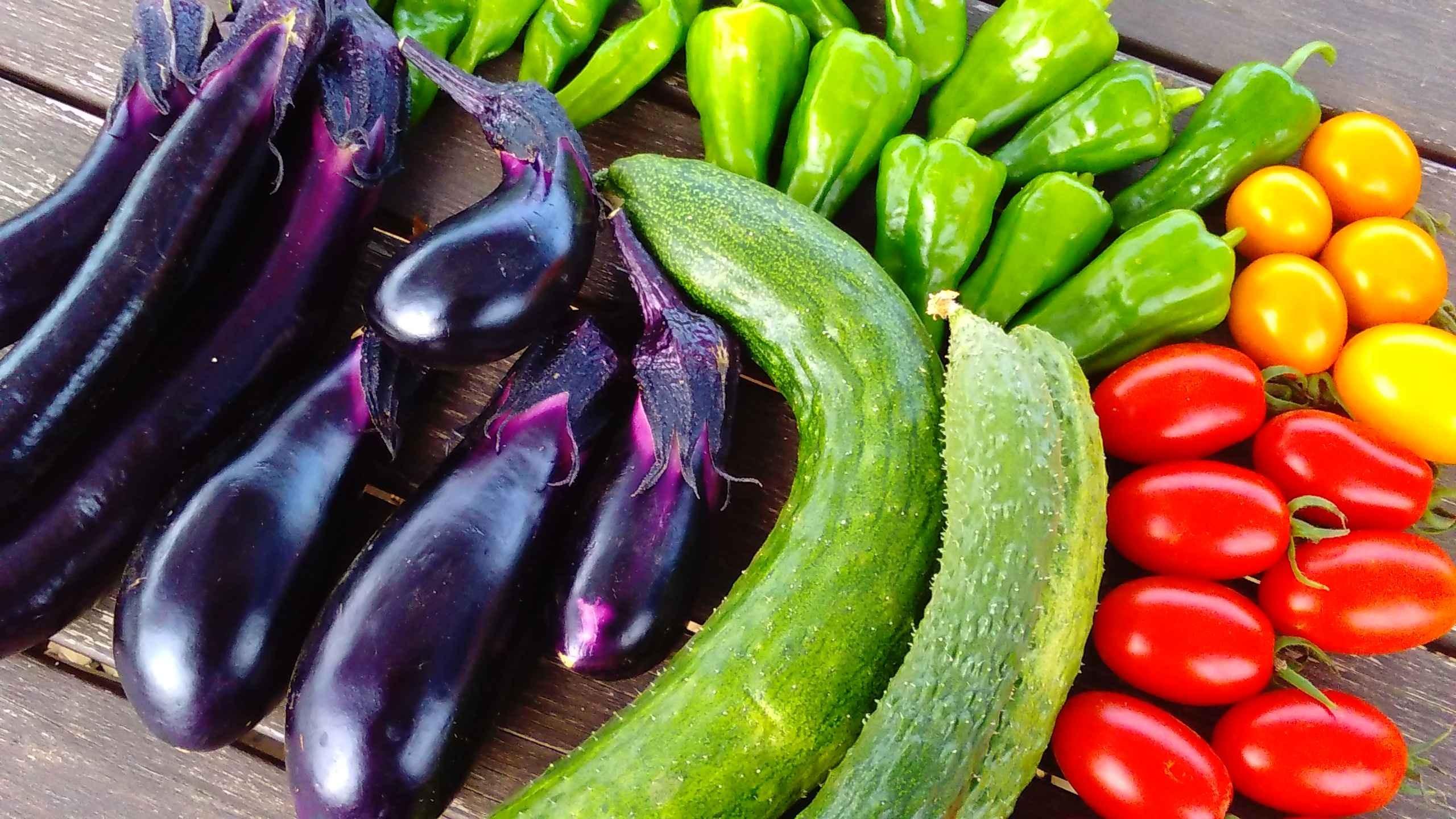 【シェア畑　深大寺】お野菜作りにご興味のある方大募集‼