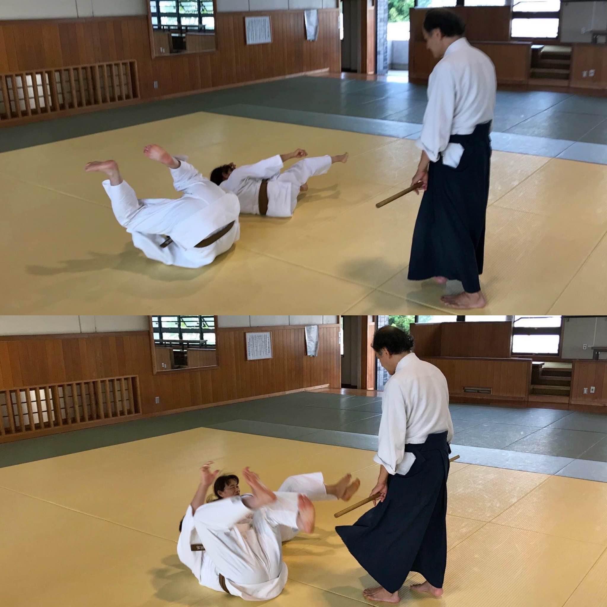 〓〓古武術入門 名古屋緑区〓〓大東流合気柔術 廣濱道場 