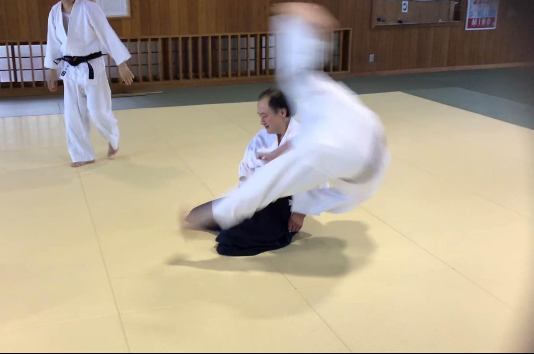 〓〓 古武術入門 浜松然支部〓〓大東流合気柔術 廣濱道場 