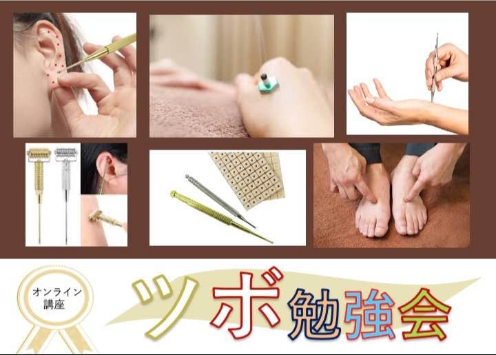ツボを使って元気になろう！【ツボ健康法勉強会】