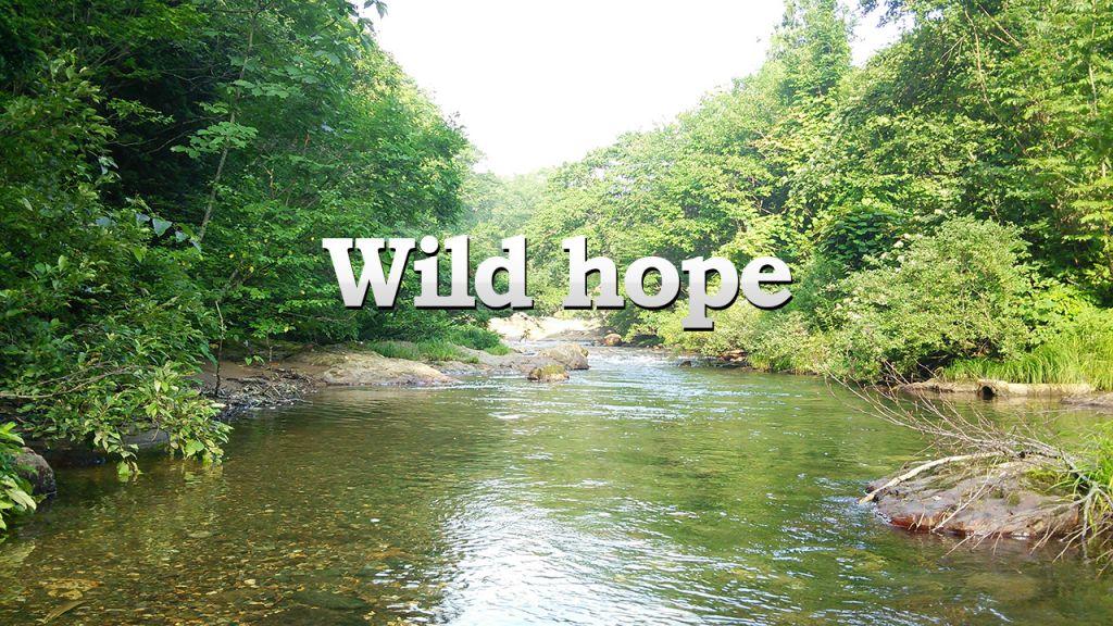 アウトドア教室 Wild hope