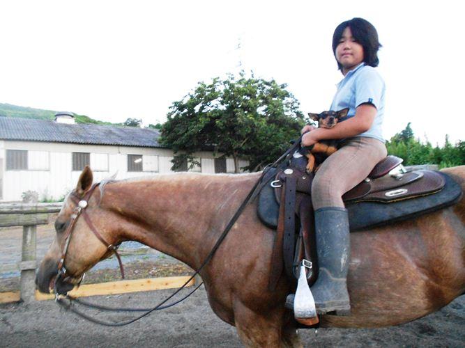 初めての乗馬教室