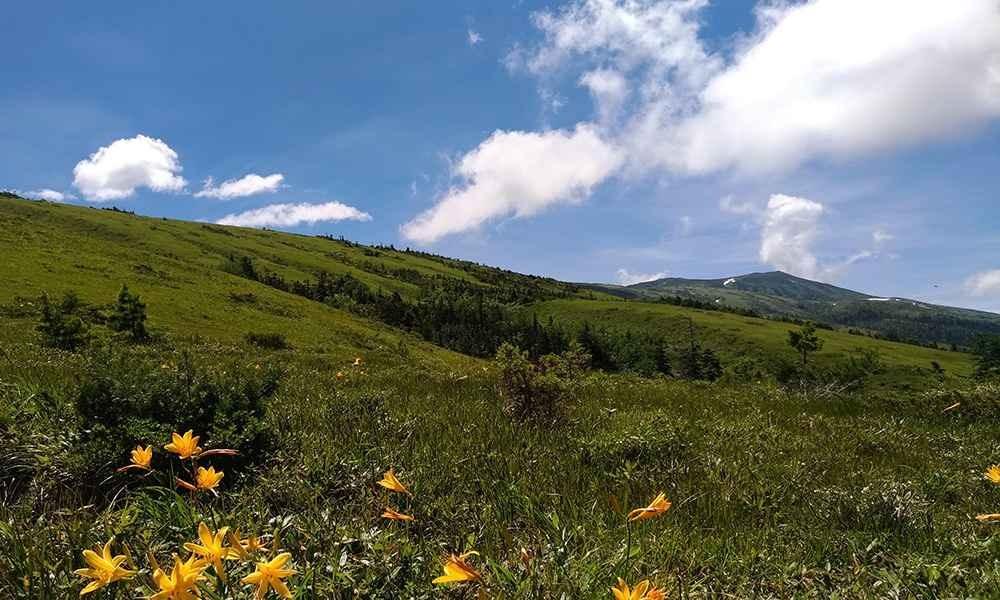 In Nature 山じかんを楽しもう