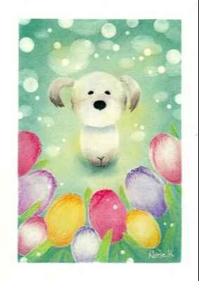 パステルアート教室　happy&willy 桜草パステル画の部屋　神戸