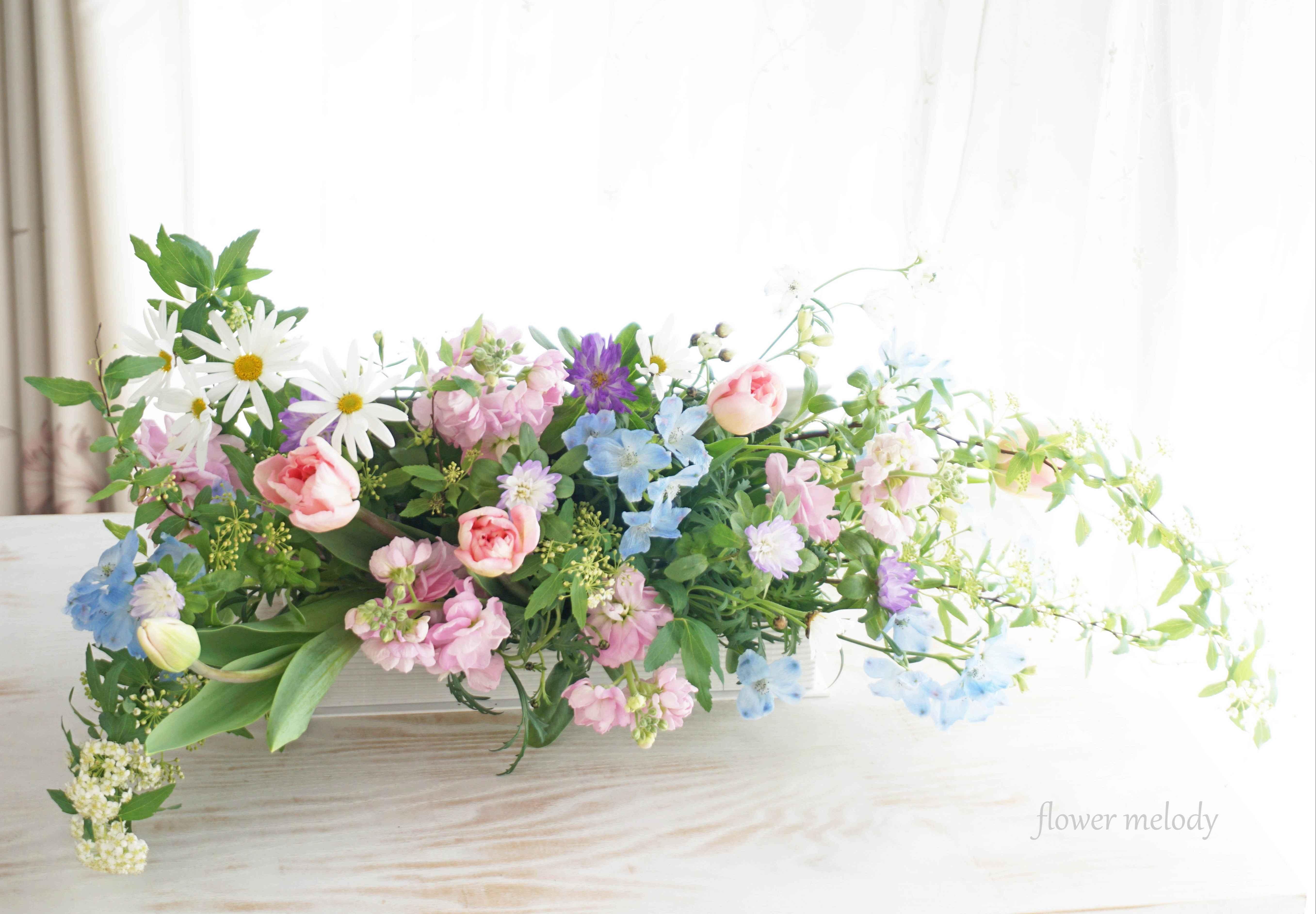 flower melody