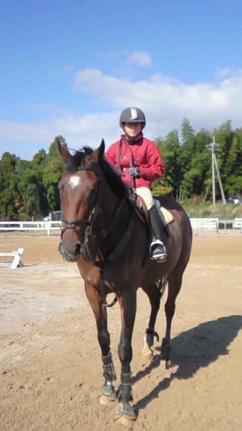 乗馬クラブ　ホースランドひがしせふり