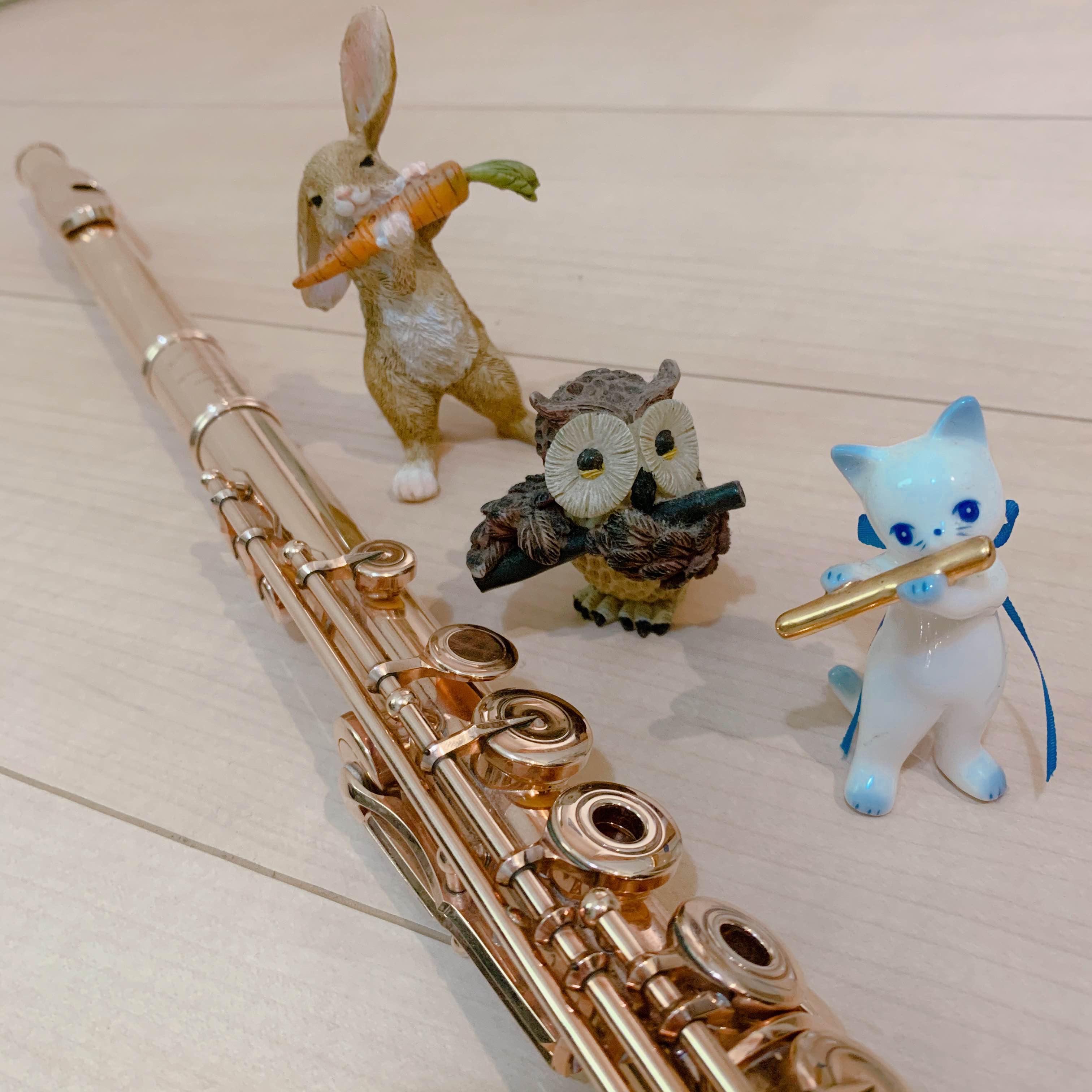 Flute Lesson Setagaya