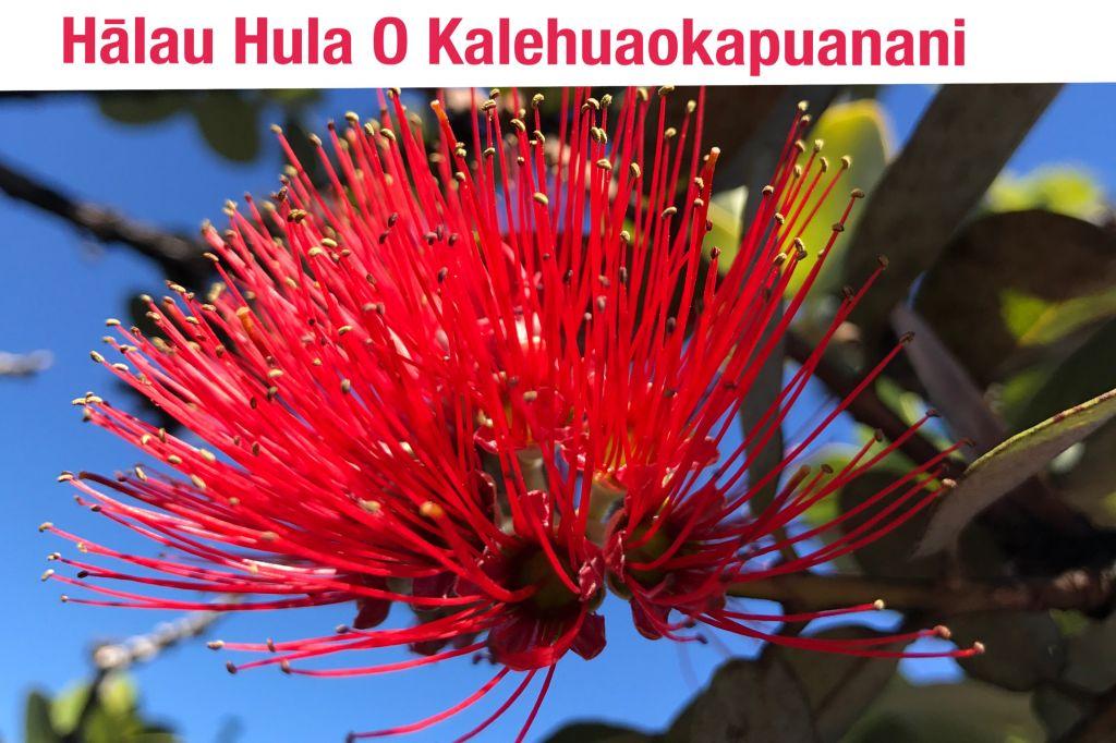 Hālau Hula O Kalehuaokapuanani