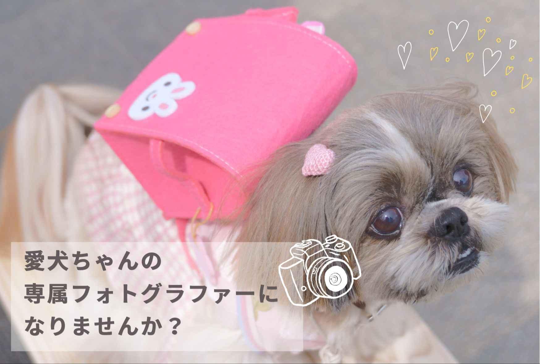 わんにゃんハッピーフォト