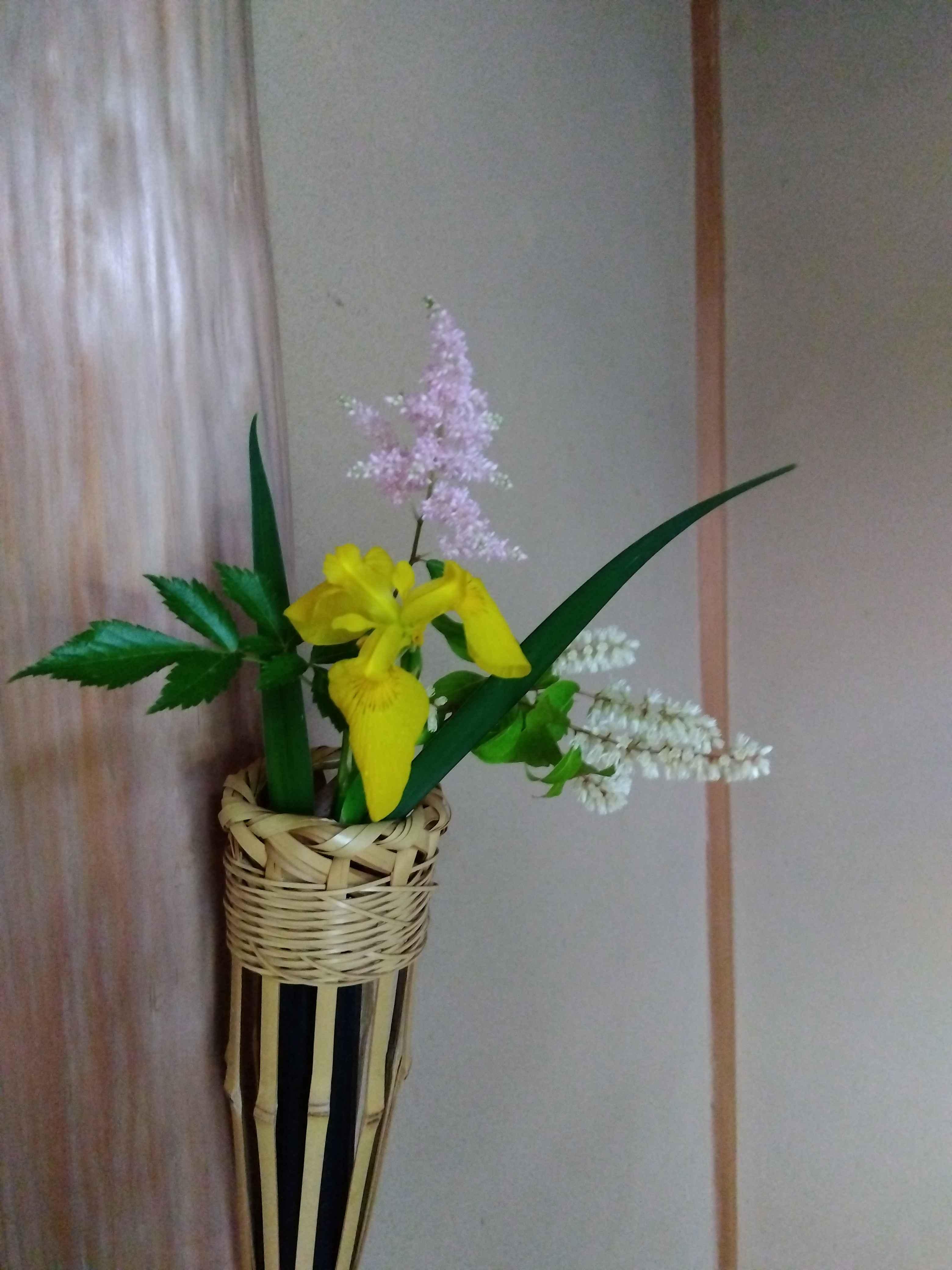 裏千家茶道教室 生涯現役の学び