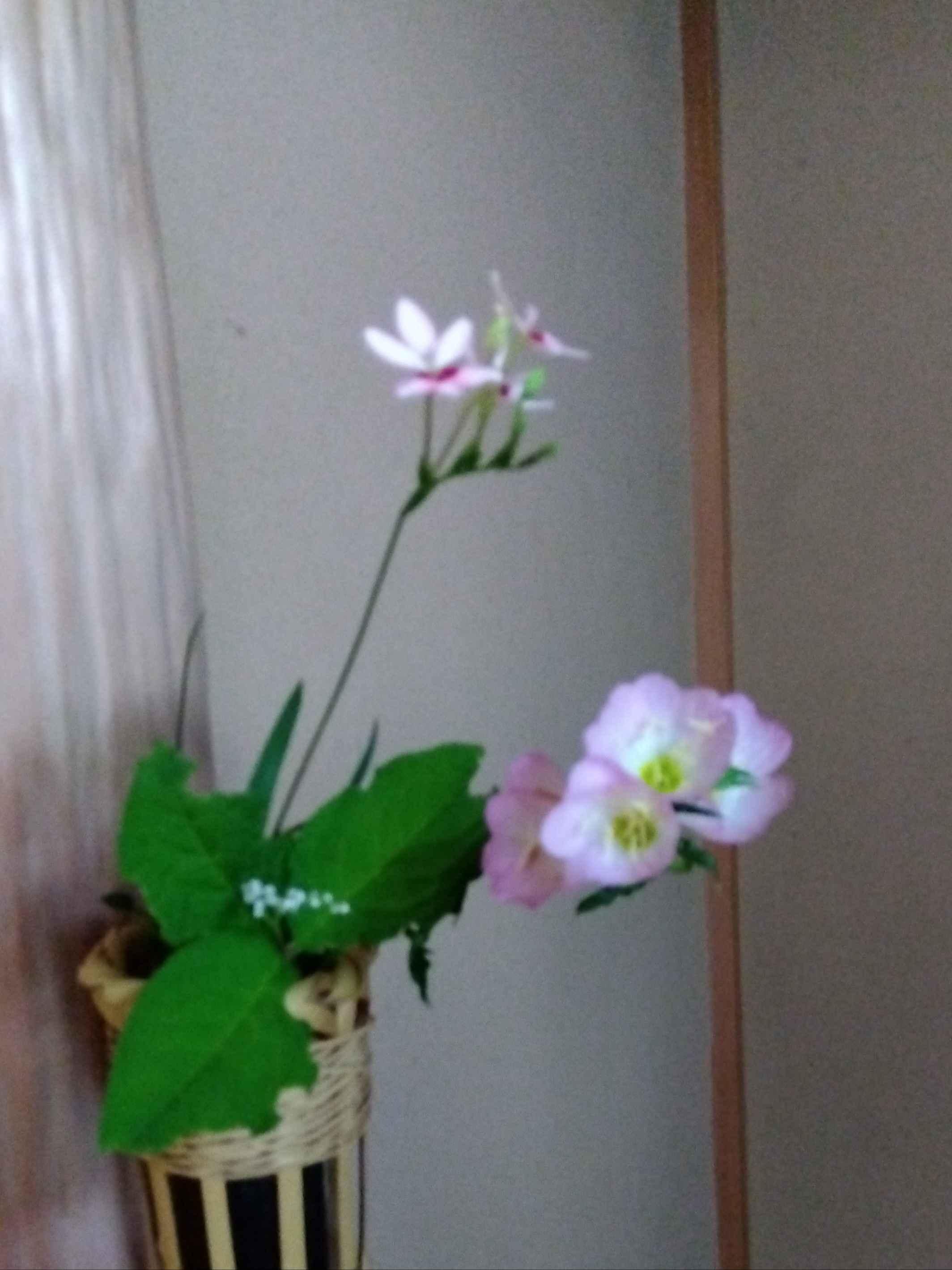 裏千家茶道教室 生涯現役の学び