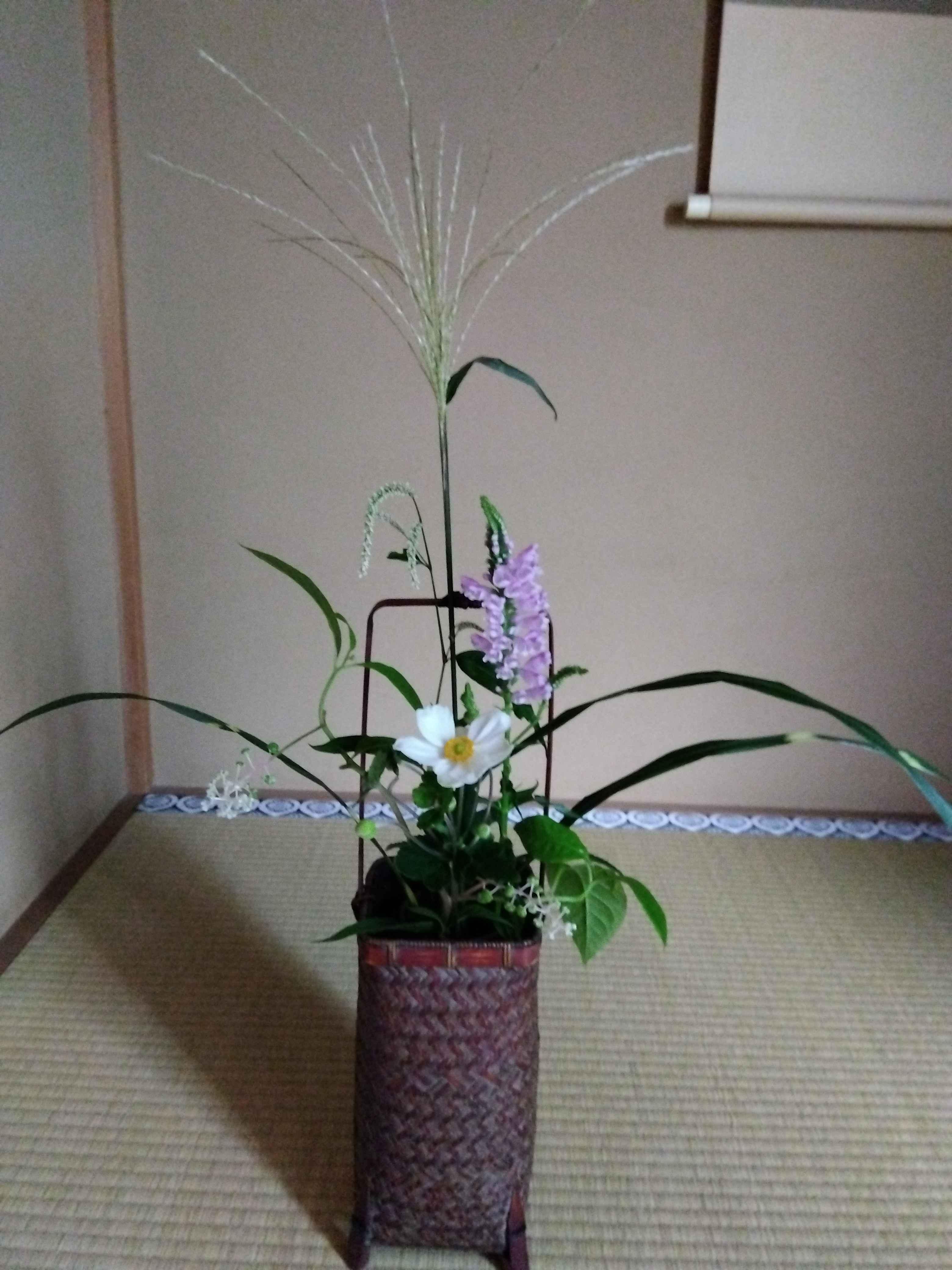 裏千家茶道教室 生涯現役の学び