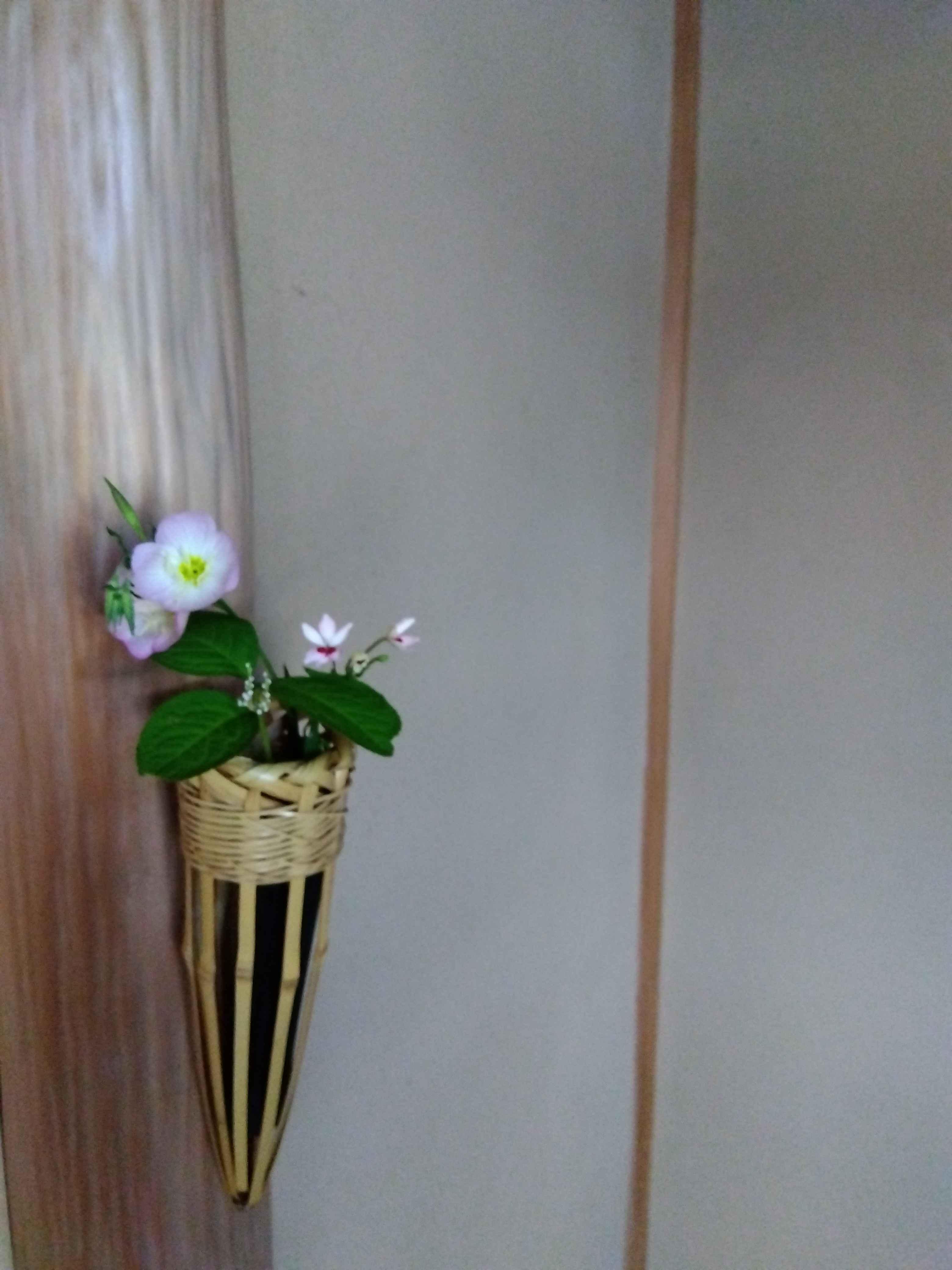 裏千家茶道教室 生涯現役の学び