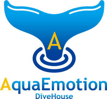 Ｄｉｖｅ　Ｈｏｕｓｅ　ＡｑｕａＥｍｏｔｉｏｎ