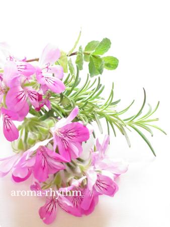 アロマ＆ハーブ aroma-rhythmアロマリズム