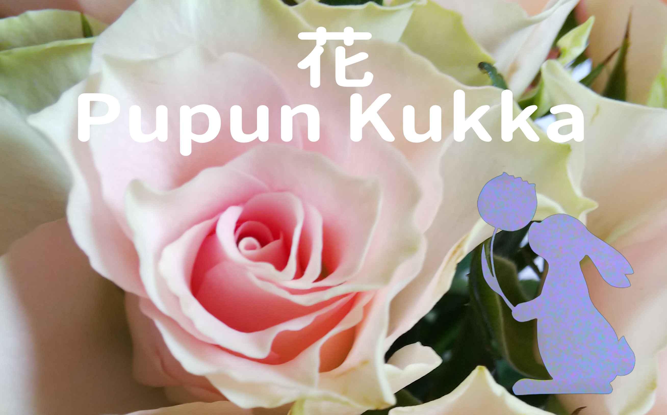 Pupun Kukka（ププンクッカ）
