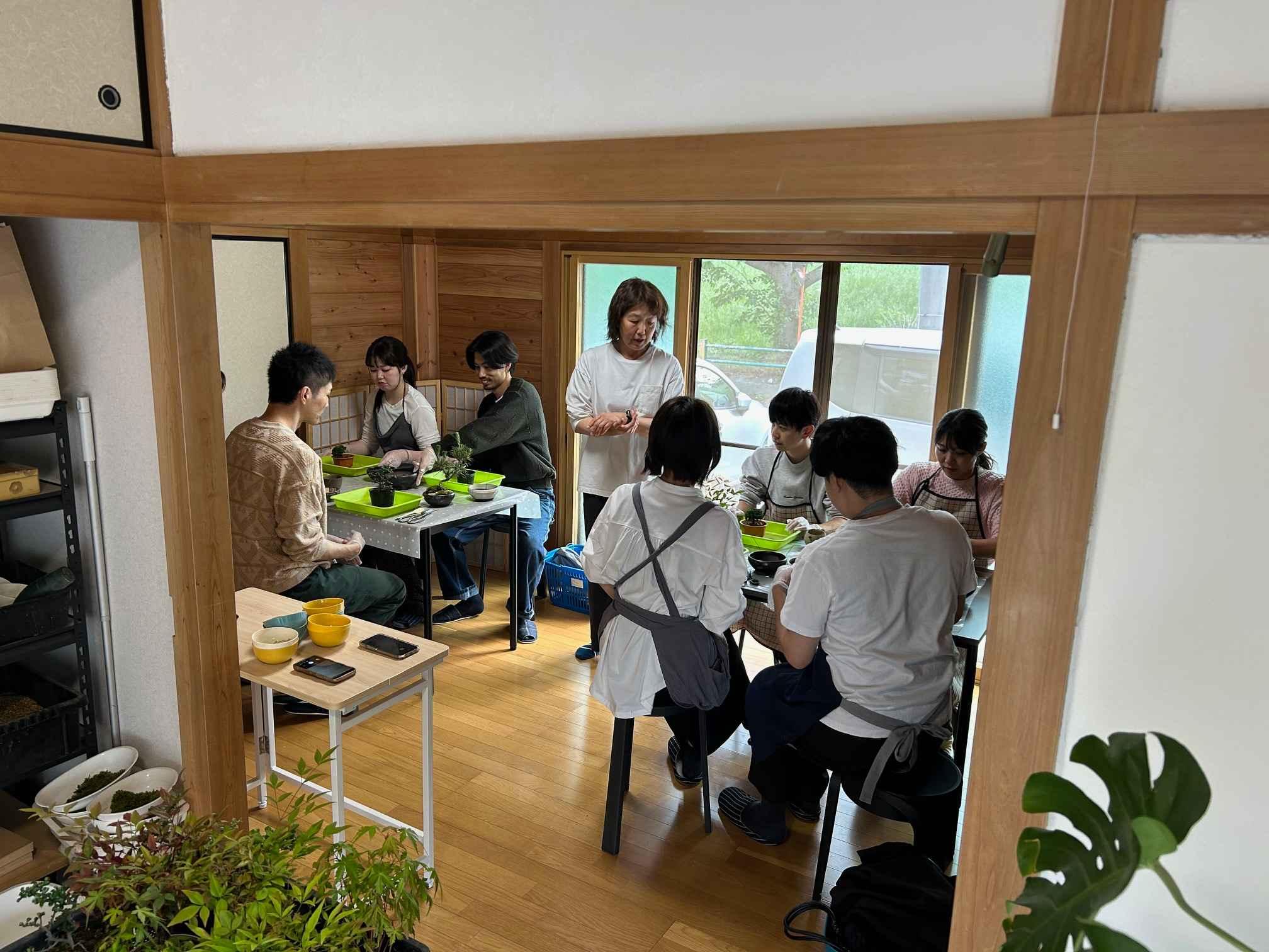 みどり屋　和草の苔玉・盆栽・苔テラリウム・苔盆栽・枯山水教室
