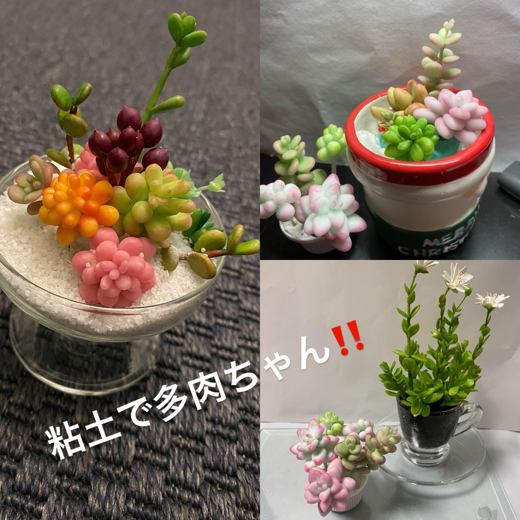 甲南元気村　甲南コープリビング
