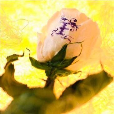 aquxya flowerスクール