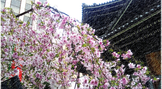 池坊いけばな虎ノ門神谷町駅前教室