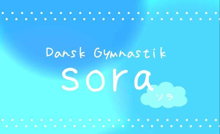 Dansk Gymnastik 「sora」