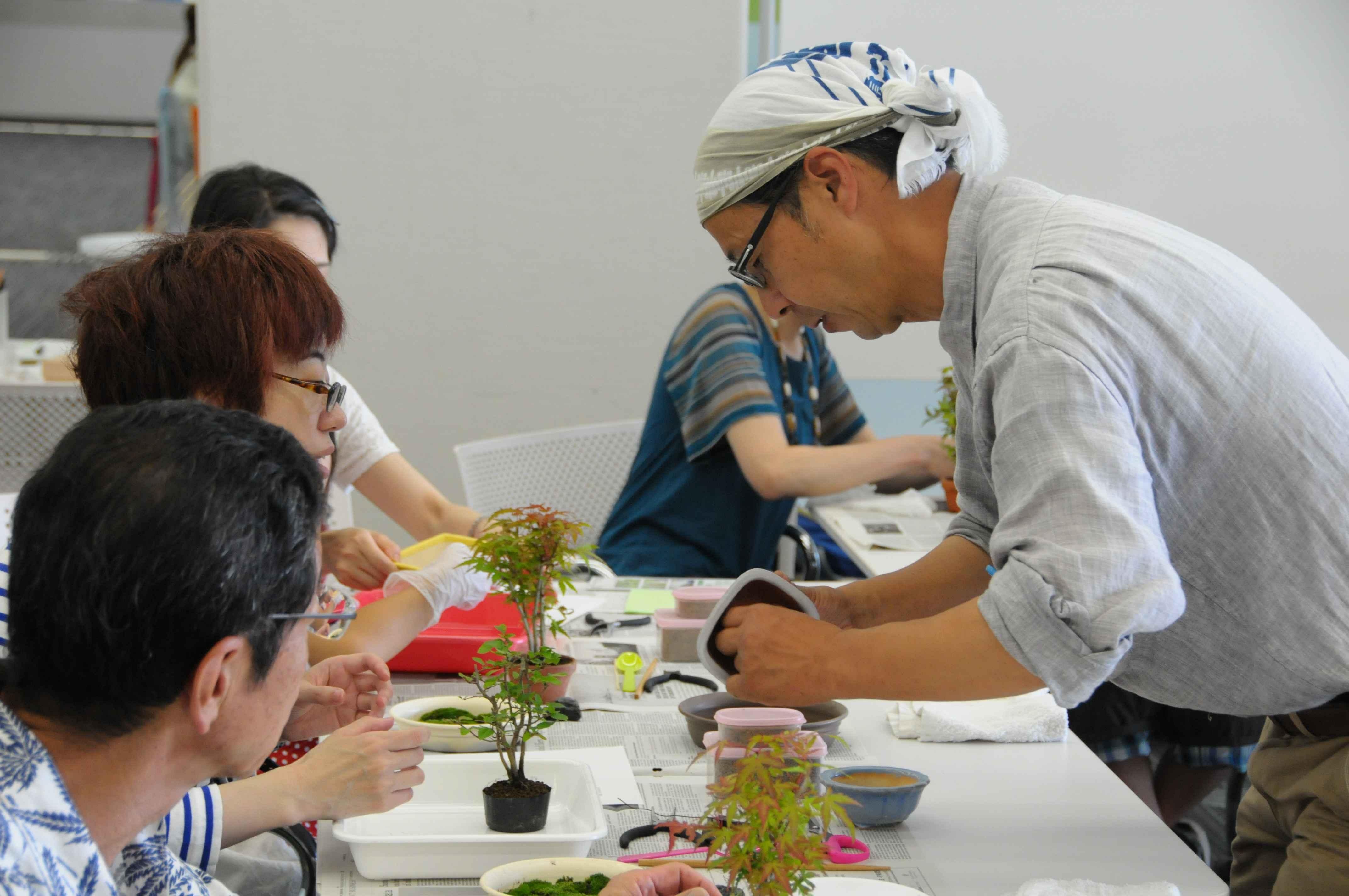 盆栽ワークショップ 旭山桜と南天の苔玉作り