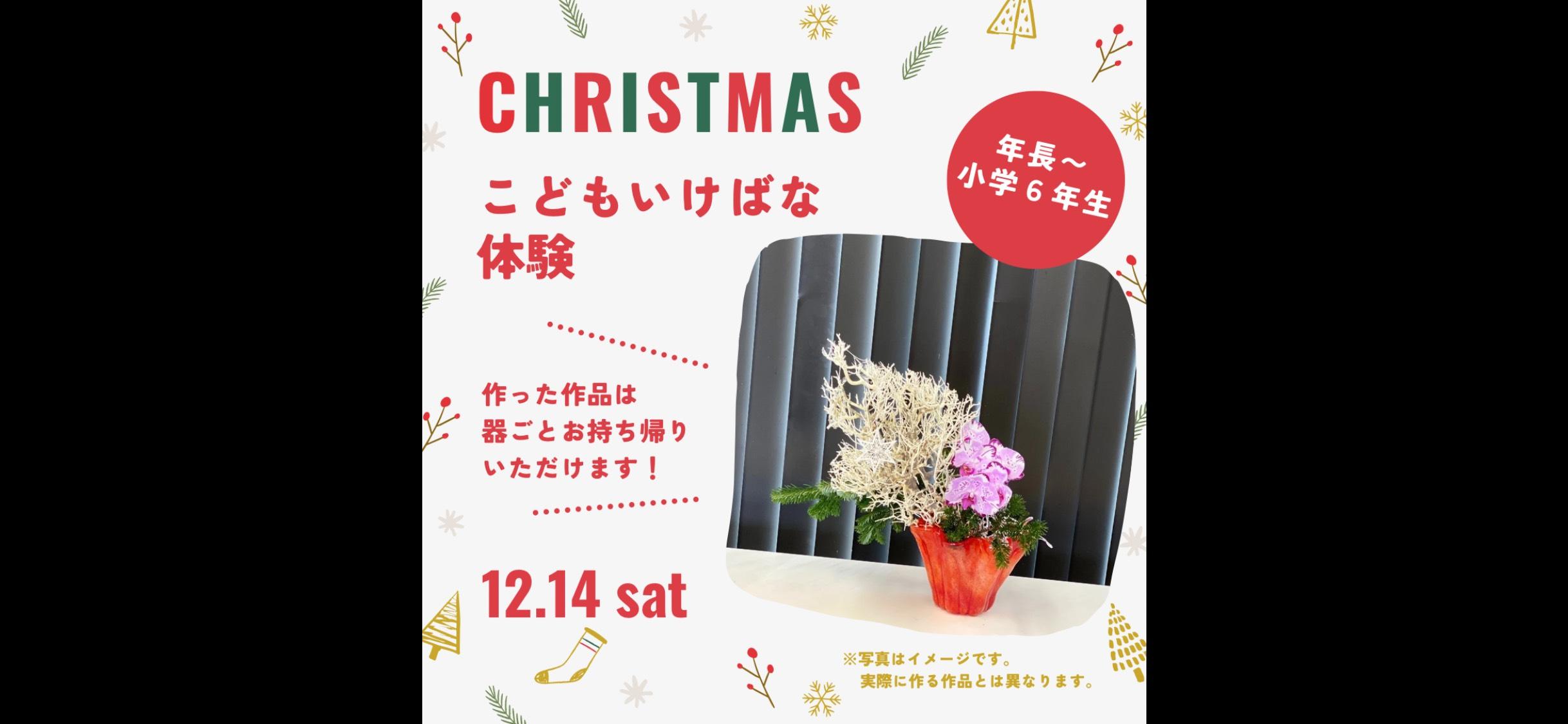 【こどもいけばな体験】クリスマスの花をいけよう！