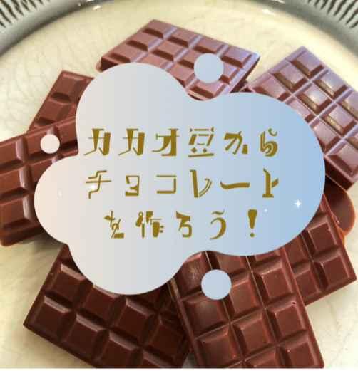 カカオ豆からチョコレートを作るWS
