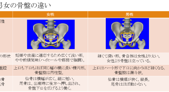 カラダ探求ラボ♪整った骨盤と魅力的なヒップラインの造り方！