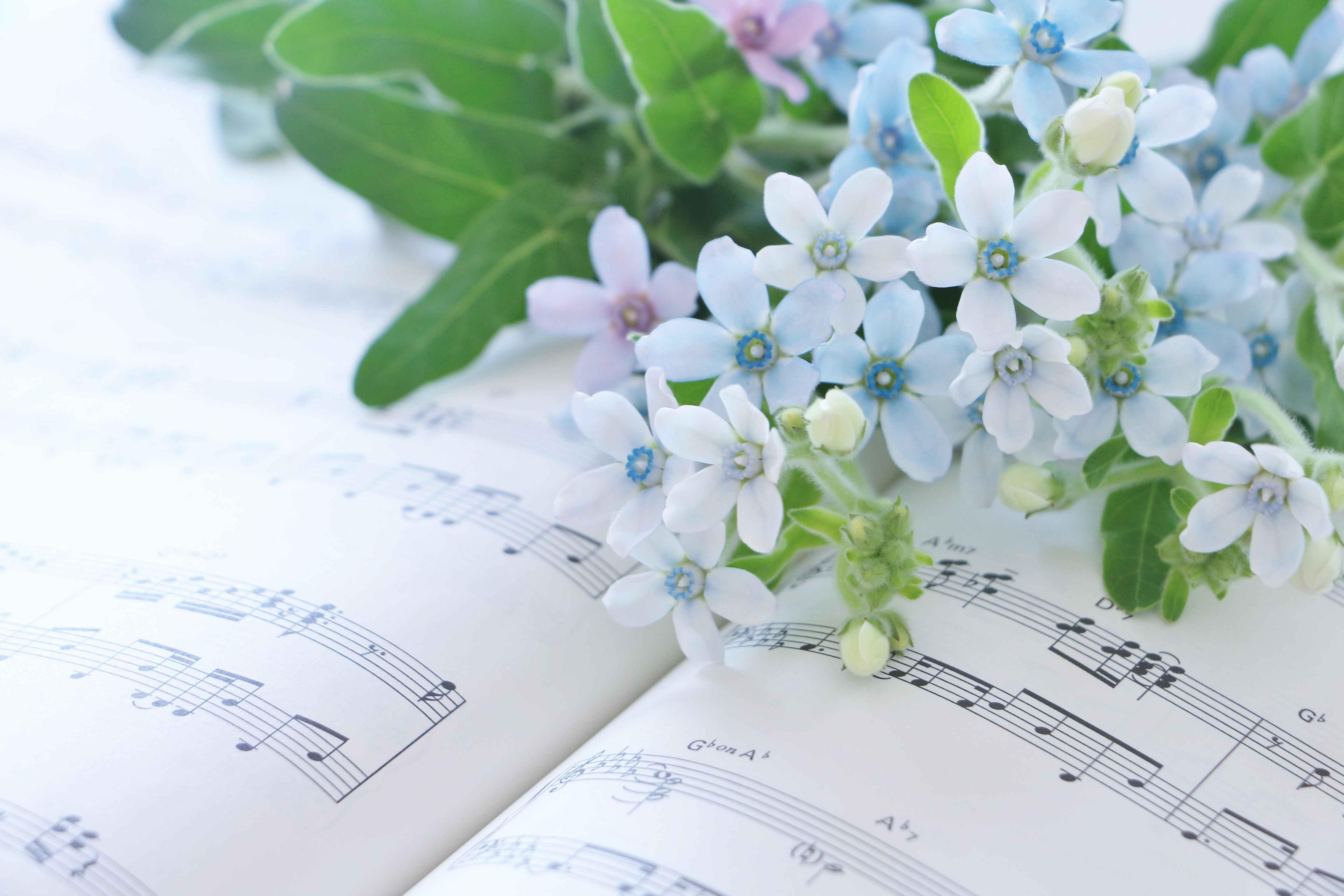 声楽の魅力を体験しよう！歌うことが楽しくなるレッスン♪