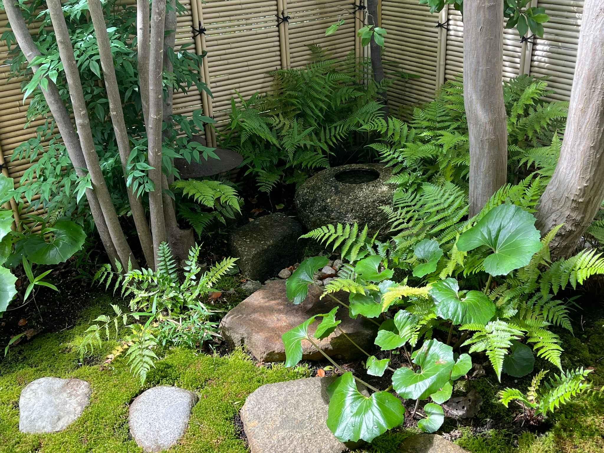 青桜庵　表千家教室 　東急田園都市線 青葉台 