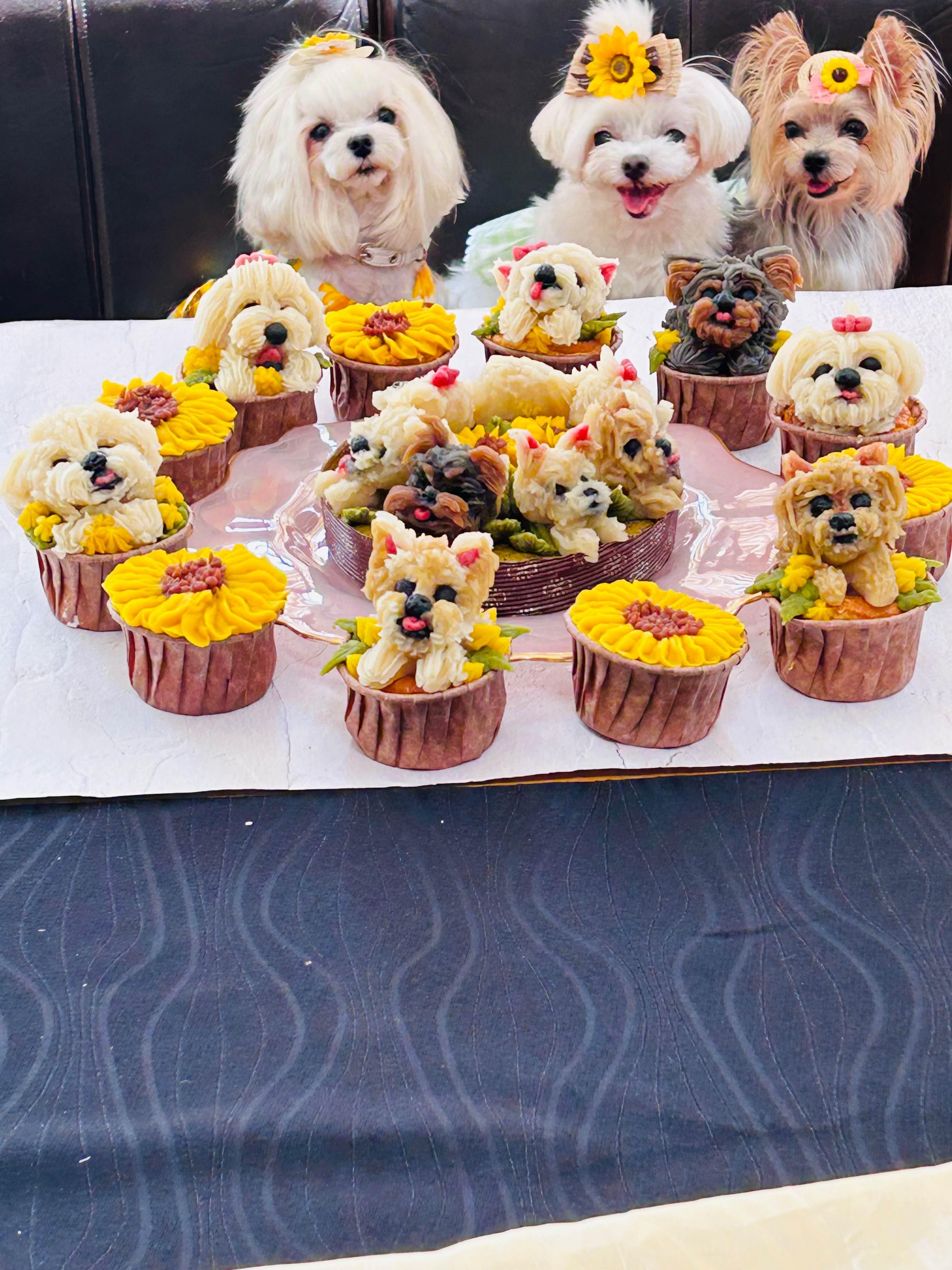 あんこのお花絞り体験レッスン
