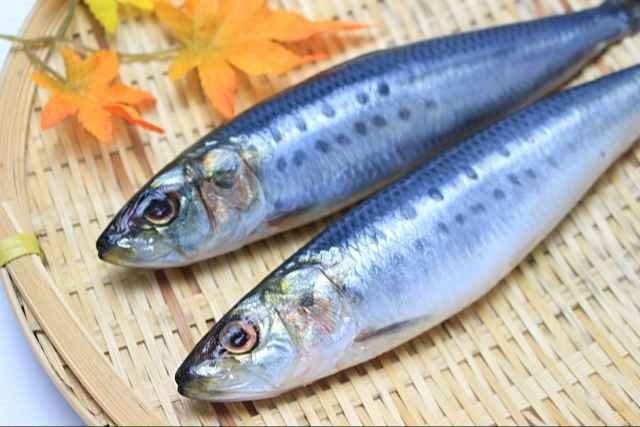 ◆魚の捌き方　入門編　イワシを3匹捌きます　手開き　三枚おろしなど