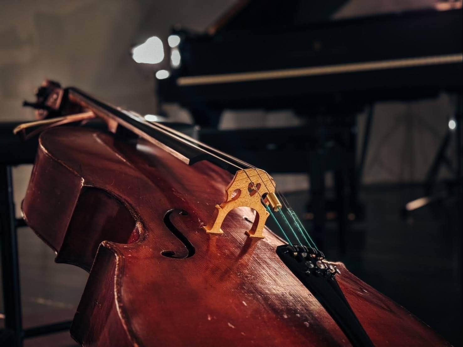 今泉 チェロ教室