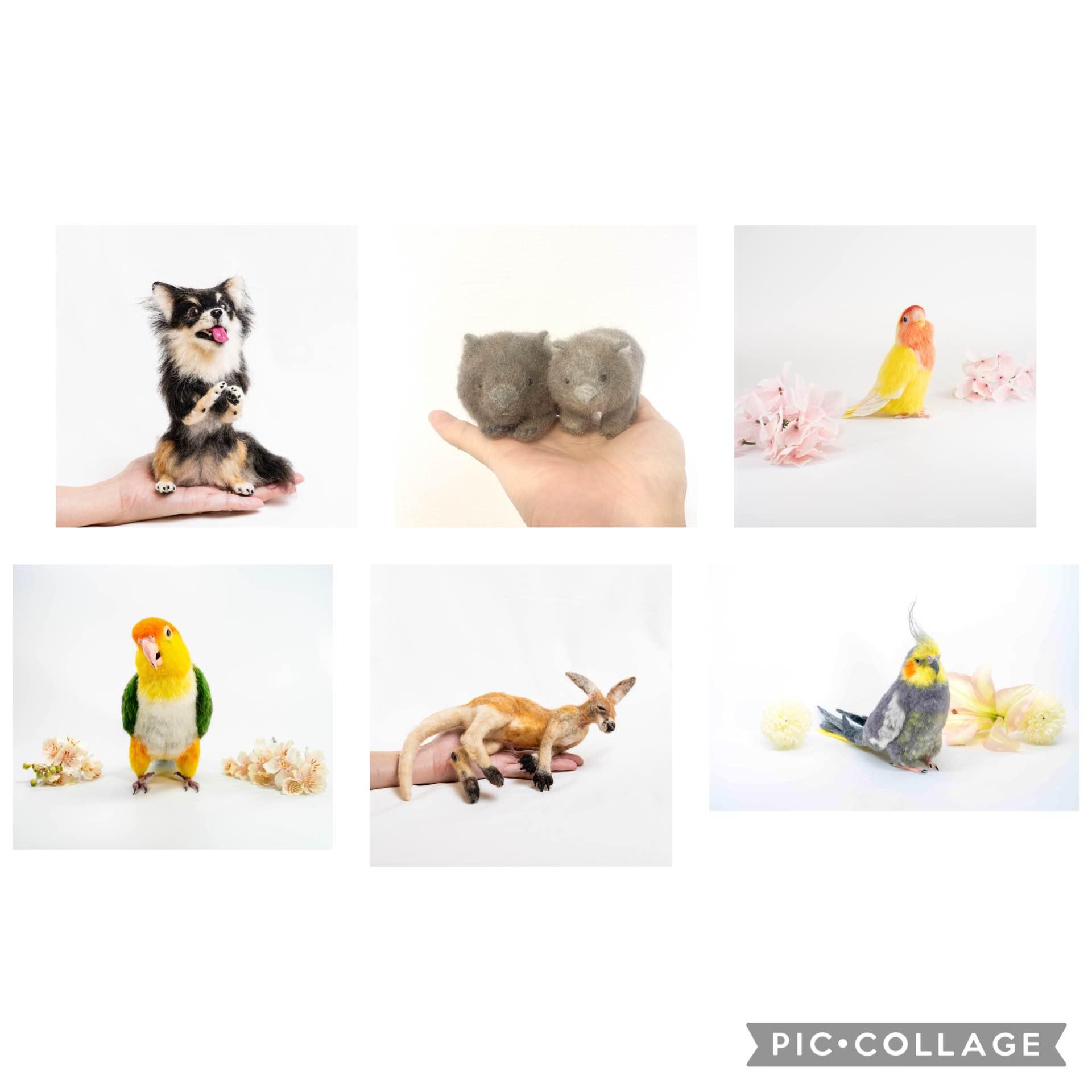 羊毛フェルト教室 すぱるな