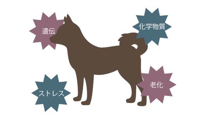 現代のペットが置かれている状況